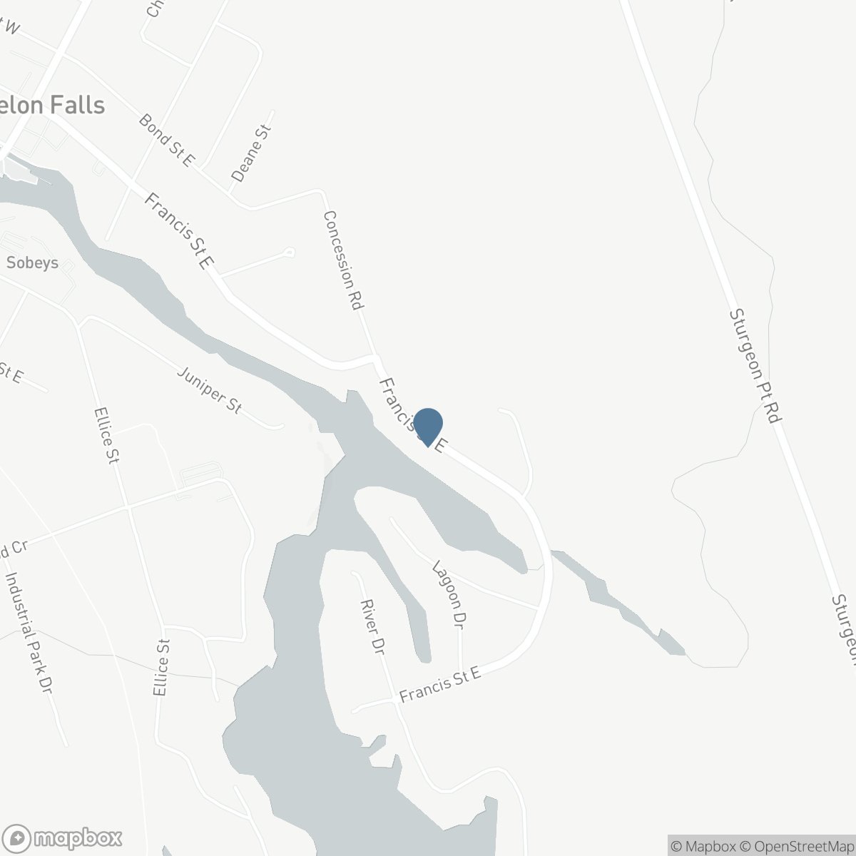 215 FRANCIS STREET, Fenelon Falls, Ontario K0M 1N0